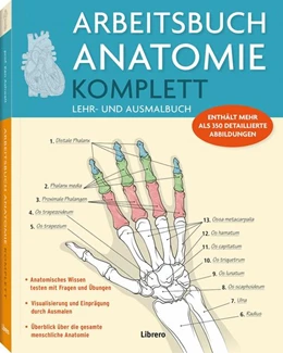 Abbildung von Carter / Russel | Arbeitsbuch Anatomie Komplett | 1. Auflage | 2025 | beck-shop.de