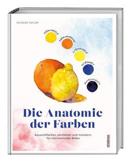 Abbildung von Taylor | Die Anatomie der Farben | 1. Auflage | 2025 | beck-shop.de