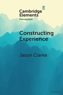Abbildung von Clarke | Constructing Experience | 1. Auflage | 2025 | beck-shop.de