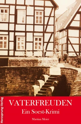 Abbildung von Meier | Vaterfreuden | 1. Auflage | 2020 | beck-shop.de