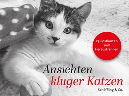 Abbildung von Bachstein | Ansichten kluger Katzen | 1. Auflage | 2025 | beck-shop.de