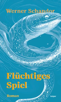 Abbildung von Schandor | Flüchtiges Spiel | 1. Auflage | 2025 | beck-shop.de