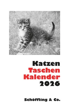 Abbildung von Bachstein | Katzen Taschenkalender 2026 | 1. Auflage | 2025 | beck-shop.de