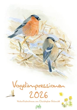 Abbildung von Schmidt | Vogelimpressionen 2026 | 1. Auflage | 2025 | beck-shop.de