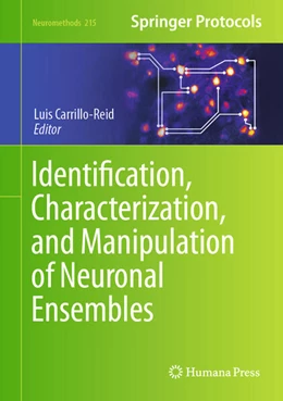 Abbildung von Carrillo-Reid | Identification, Characterization, and Manipulation of Neuronal Ensembles | 1. Auflage | 2024 | beck-shop.de