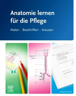 Abbildung von Anatomie lernen für die Pflege | 1. Auflage | 2025 | beck-shop.de