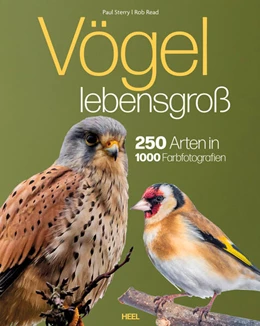 Abbildung von Sterry / Read | Vögel lebensgroß | 1. Auflage | 2025 | beck-shop.de