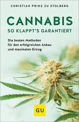 Abbildung von Stolberg | Cannabis | 1. Auflage | 2025 | beck-shop.de