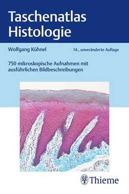 Abbildung von Kühnel | Taschenatlas Histologie | 14. Auflage | 2025 | beck-shop.de