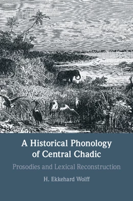 Abbildung von Wolff | A Historical Phonology of Central Chadic | 1. Auflage | 2025 | beck-shop.de