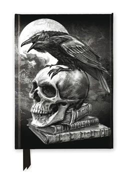 Abbildung von Alchemy: Poe's Raven (Foiled Journal) | 1. Auflage | 2025 | beck-shop.de