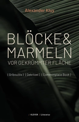 Abbildung von Kluy | Blöcke und Marmeln vor gekrümmter Fläche | 1. Auflage | 2025 | beck-shop.de