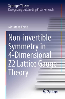 Abbildung von Koide | Non-invertible Symmetry in 4-Dimensional Z2 Lattice Gauge Theory | 1. Auflage | 2025 | beck-shop.de