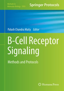 Abbildung von Maity | B-Cell Receptor Signaling | 1. Auflage | 2025 | 2909 | beck-shop.de