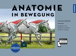 Abbildung von Higgins | Anatomie in Bewegung | 1. Auflage | 2025 | beck-shop.de