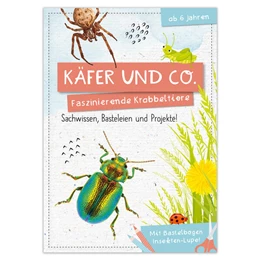 Abbildung von Linstadt | Activity Heft: Käfer und Co. | 1. Auflage | 2025 | beck-shop.de