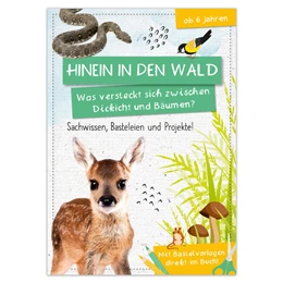Abbildung von Activity Heft: Hinein in den Wald - Was versteckt sich zwischen Dickicht und Bäumen? | 1. Auflage | 2025 | beck-shop.de
