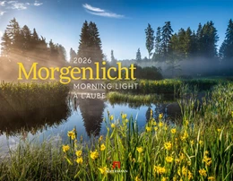 Abbildung von Ackermann Kunstverlag GmbH | Morgenlicht Kalender 2026 | 1. Auflage | 2025 | beck-shop.de