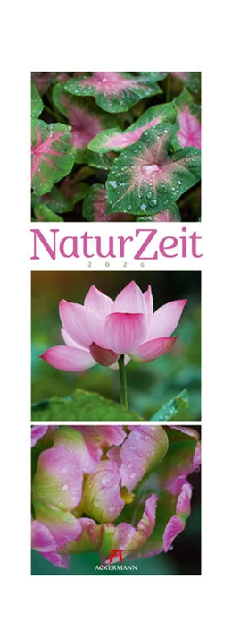 Abbildung von Ackermann Kunstverlag GmbH | NaturZeit Triplet-Kalender 2026 | 1. Auflage | 2025 | beck-shop.de