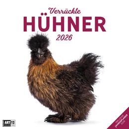 Abbildung von Ackermann Kunstverlag GmbH | Verrückte Hühner Kalender 2026 - 30x30 | 1. Auflage | 2025 | beck-shop.de