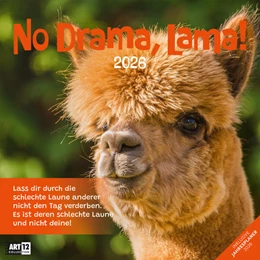 Abbildung von Ackermann Kunstverlag GmbH | No Drama, Lama! Kalender 2026 - 30x30 | 1. Auflage | 2025 | beck-shop.de