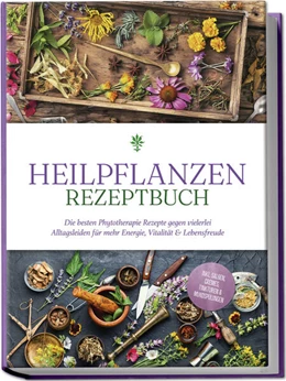 Abbildung von Gesicki | Heilpflanzen Rezeptbuch: Die besten Phytotherapie Rezepte gegen vielerlei Alltagsleiden für mehr Energie, Vitalität & Lebensfreude - inkl. Salben, Cremes, Tinkturen & Mundspülungen | 1. Auflage | 2024 | beck-shop.de