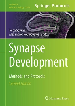Abbildung von Soykan / Poulopoulos | Synapse Development | 2. Auflage | 2025 | beck-shop.de