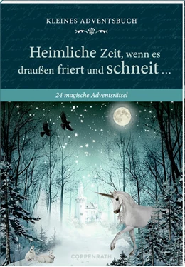 Abbildung von Heine | Adventskalenderbuch mit Türchen - Heimliche Zeit, wenn es draußen friert und schneit ... | 1. Auflage | 2025 | beck-shop.de