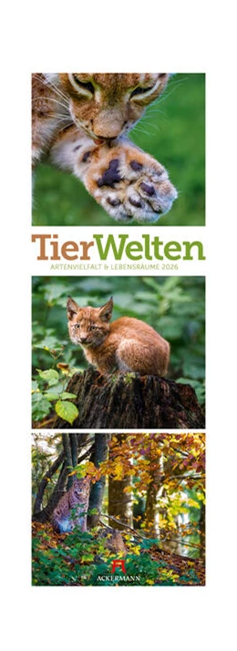 Abbildung von Ackermann Kunstverlag GmbH | Tierwelten Triplet-Kalender 2026 | Artenvielfalt & Lebensräume | 1. Auflage | 2025 | beck-shop.de