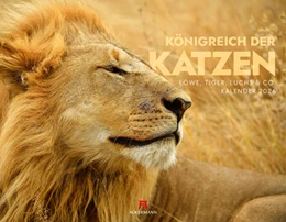 Abbildung von Ackermann Kunstverlag GmbH | Königreich der Katzen Kalender 2026 | 1. Auflage | 2025 | beck-shop.de