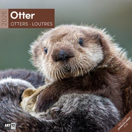 Abbildung von Ackermann Kunstverlag GmbH | Otter Kalender 2026 - 30x30 | 1. Auflage | 2025 | beck-shop.de