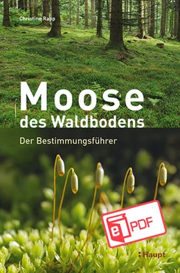 Abbildung von Rapp | Moose des Waldbodens | 1. Auflage | 2025 | beck-shop.de