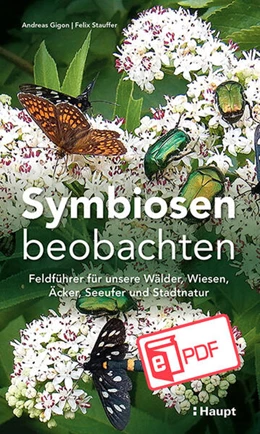 Abbildung von Gigon / Stauffer | Symbiosen beobachten | 1. Auflage | 2025 | beck-shop.de