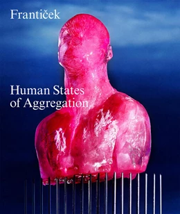 Abbildung von Klossner | Frantisek-Human States of Aggregation | 1. Auflage | 2025 | beck-shop.de