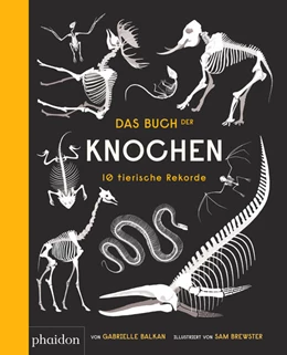 Abbildung von Das Buch der Knochen | 1. Auflage | 2025 | beck-shop.de