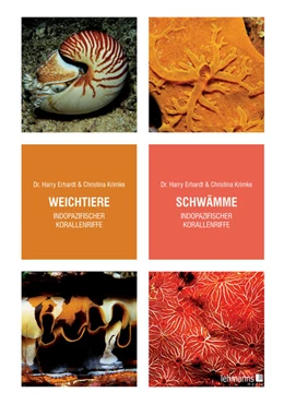 Abbildung von Erhardt / Krimke | Weichtiere/Schwämme indopazifischer Korallenriffe | 1. Auflage | 2025 | beck-shop.de
