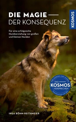 Abbildung von Böhm-Reithmeier | Die Magie der Konsequenz | 1. Auflage | 2025 | beck-shop.de