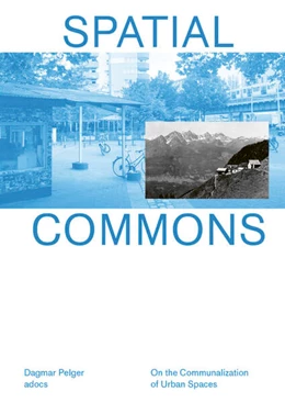 Abbildung von Pelger | Spatial Commons | 1. Auflage | 2025 | beck-shop.de