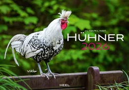 Abbildung von Klein / Hubert | Hühner Kalender 2026 | 1. Auflage | 2025 | beck-shop.de