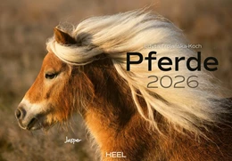 Abbildung von Pferde Kalender 2026 Wandkalender | 1. Auflage | 2025 | beck-shop.de