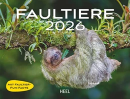 Abbildung von Faultiere Kalender 2026 Wandkalender | 1. Auflage | 2025 | beck-shop.de