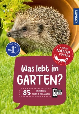 Abbildung von Oftring | Was lebt im Garten? Kindernaturführer | 1. Auflage | 2025 | beck-shop.de