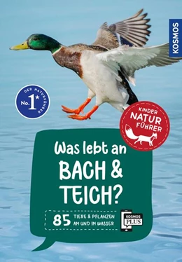 Abbildung von Saan | Was lebt an Bach und Teich? Kindernaturführer | 1. Auflage | 2025 | beck-shop.de