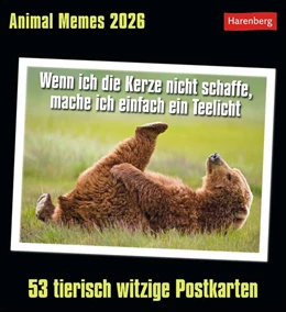 Abbildung von Gallet | Animal Memes Postkartenkalender 2026 - 53 tierisch witzige Postkarten | 1. Auflage | 2025 | beck-shop.de