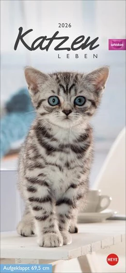 Abbildung von Heye | Whiskas Katzenleben Kalender 2026 | 1. Auflage | 2025 | beck-shop.de