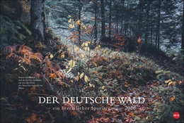 Abbildung von Heye | Der deutsche Wald - Ein literarischer Spaziergang Kalender 2026 - Ein literarischer Spaziergang | 1. Auflage | 2025 | beck-shop.de