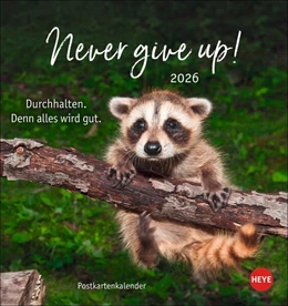 Abbildung von Heye | Never give up! Postkartenkalender 2026 - Durchhalten. Denn alles wird gut. | 1. Auflage | 2025 | beck-shop.de