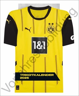 Abbildung von Heye | BVB Trikotkalender 2026 | 1. Auflage | 2025 | beck-shop.de