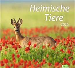 Abbildung von times&more Heimische Tiere Bildkalender 2026 | 1. Auflage | 2025 | beck-shop.de