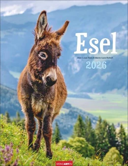 Abbildung von Esel Kalender 2026 | 1. Auflage | 2025 | beck-shop.de